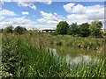 Freeman's Marsh seen over the Kennet and Avon Canal in RG17 0SN