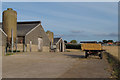 Farm track past poultry sheds near Forest Lodge Farm, Stock in CM4 9DP