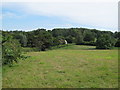 Footpath over grass field, near Horkesley Hall, Little Horkesley in CO6 4DA