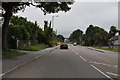 Falmouth : Dracaena Avenue A39 in TR11 4JB