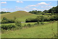 Conical hill at Westbury Wood, Montacute in BA22 8UA