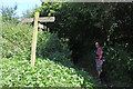 Footpath junction to Manor Farm, Odcombe in BA22 8TU