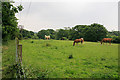 Footpath and field south of railway line at Titchfield Park in PO15 5TT