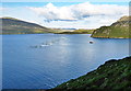 Salmon cages in West Loch Tarbet in Western Isles