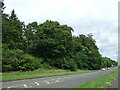 Woodland beside the A89 in EH52 6LG
