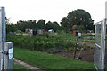 Allotments at the top of West Street, Huntingdon in PE29 7AQ