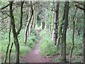 Path near Birchley Wood, Billinge in WN5 7WY