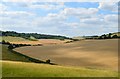 Farmland, Conholt, Wiltshire in SP11 9HD