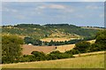 View to Hippenscombe, Chute, Wiltshire in SP11 9EX