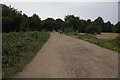 Track across Wimbledon Common in SW15 3DX