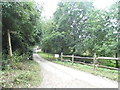 Path off Woodhill Lane, Shamley Green in GU5 0UF