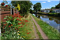 Towpath colour on the edge of Penkridge in ST19 5ED