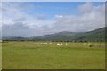 Farmland north of Harlech in Harlech Community