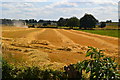 Harvesting between canal and motorway in ST17 0RS