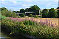 Railway seen from canal near Walton Bridge in ST17 0UW