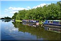 Moored narrowboats at Tixall Wide in ST18 0RJ