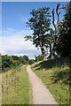 Footpath in Calke Park in Calke