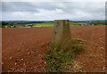 Bowesfield Trig Point in LA13 0ED