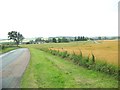 Road approaching Letham from the north in DD8 2PS