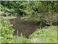 Lake in Dalby Forest, Yorkshire in YO18 7LR