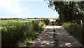 Footpath to Candle Dyke in NR29 5NE