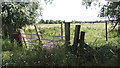 Pasture by the River Thurne in NR29 5NE