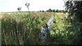 Drainage ditch by High's windpump in NR29 5NE