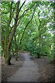 Path through the woods at Eastham Country Park in CH62 3RL