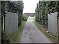 Entrance drive, Lillesdon Farm in TA3 6FD