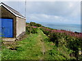 Pembrokeshire Coast Path towards Strumble Head in SA64 0AQ