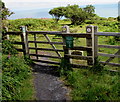 Pwll Hir South gate across the  Pembrokeshire Coast Path in SA64 0AQ