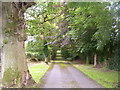 Molleston Baptist Chapel, Templeton. Avenue of trees, in SA67 8BZ