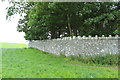 Stone Wall at Cruggleton Church in DG8 8HN