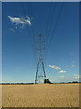 Pylon in field at Much Hoole in PR4 4GL