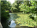 Mill pond above Waverley Mill Bridge in GU9 8ES