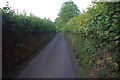Country lane South of Four Cross in EX14 9SQ
