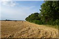 Stubble field near Ferrensby in HG5 0PZ