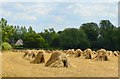 Corn stooks, Upper Chute, Wiltshire in SP11 9EF