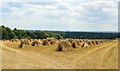 Stooks, Upper Chute, Wiltshire in SP11 9EF