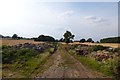 Track off Marton Lane in HG5 0QT