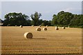 Bales off Braimber Lane in YO51 9RS