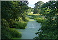 River Avon near Stanford Hall in LE17 6DH