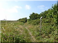 Footpath with signpost on eastern side of Thorney Island in PO10 8DY