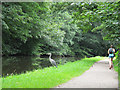 Canal with heron (1) in LS18 4GP