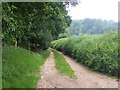 Lane towards Titchborne Farm in SP5 2JX