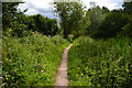 Path between mill stream and River Kennet in RG17 0EU