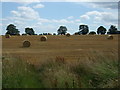 Stubble field with bales near Kirkharle Farm in NE19 2PE