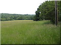 Hayfield near Watermill Farm in TN21 9QA