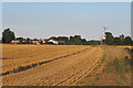 Recently harvested wheat field, near footpath, Boxted in CO4 5RN