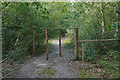 Horse barriers, Frensham Great Pond in GU10 2QR
